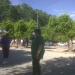 IMG00209-20130526-1821