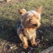 SAM_0463 SAM_0463
