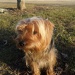 SAM_0462