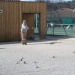 SAM_0775
