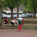 SAM_1358