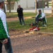 SAM_1381
