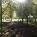SAM_1866