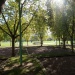 SAM_1867