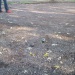 SAM_1877