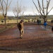 SAM_2375
