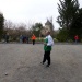 SAM_2503