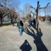 SAM_2643