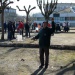 SAM_2645