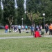 SAM_2933