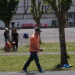 SAM_2940