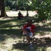 SAM_3068