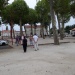 SAM_3085