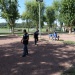 SAM_3109