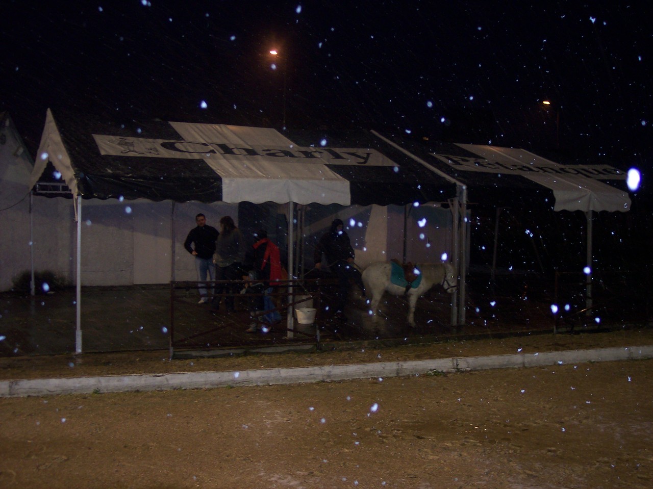 Copie de 100_6526.JPG Copie de 100_6526.JPG