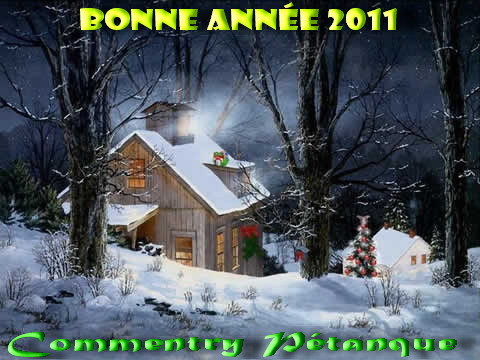 MEILLEURS VOEUX 2011 MEILLEURS VOEUX 2011