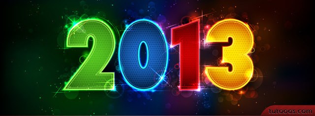 MEILLEURS VOEUX 2013