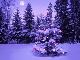 BONNES FETES A TOUS BONNES FETES A TOUS
