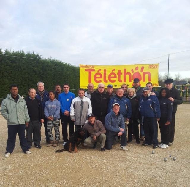 TELETHON 2013 TELETHON 2013