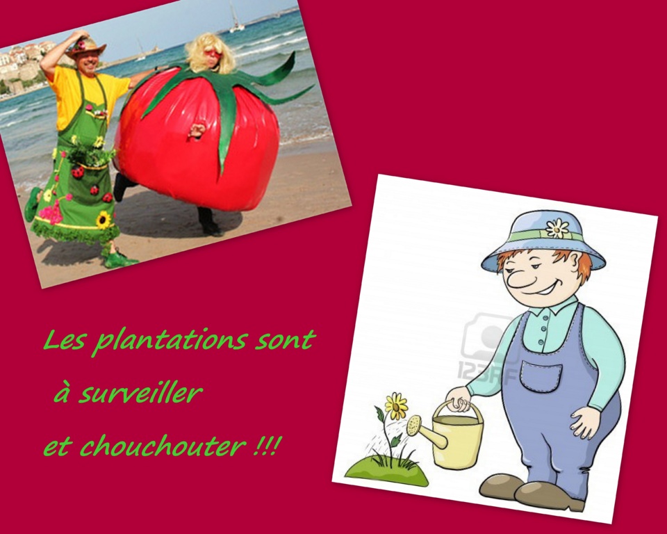 Une Journée Ordinaire