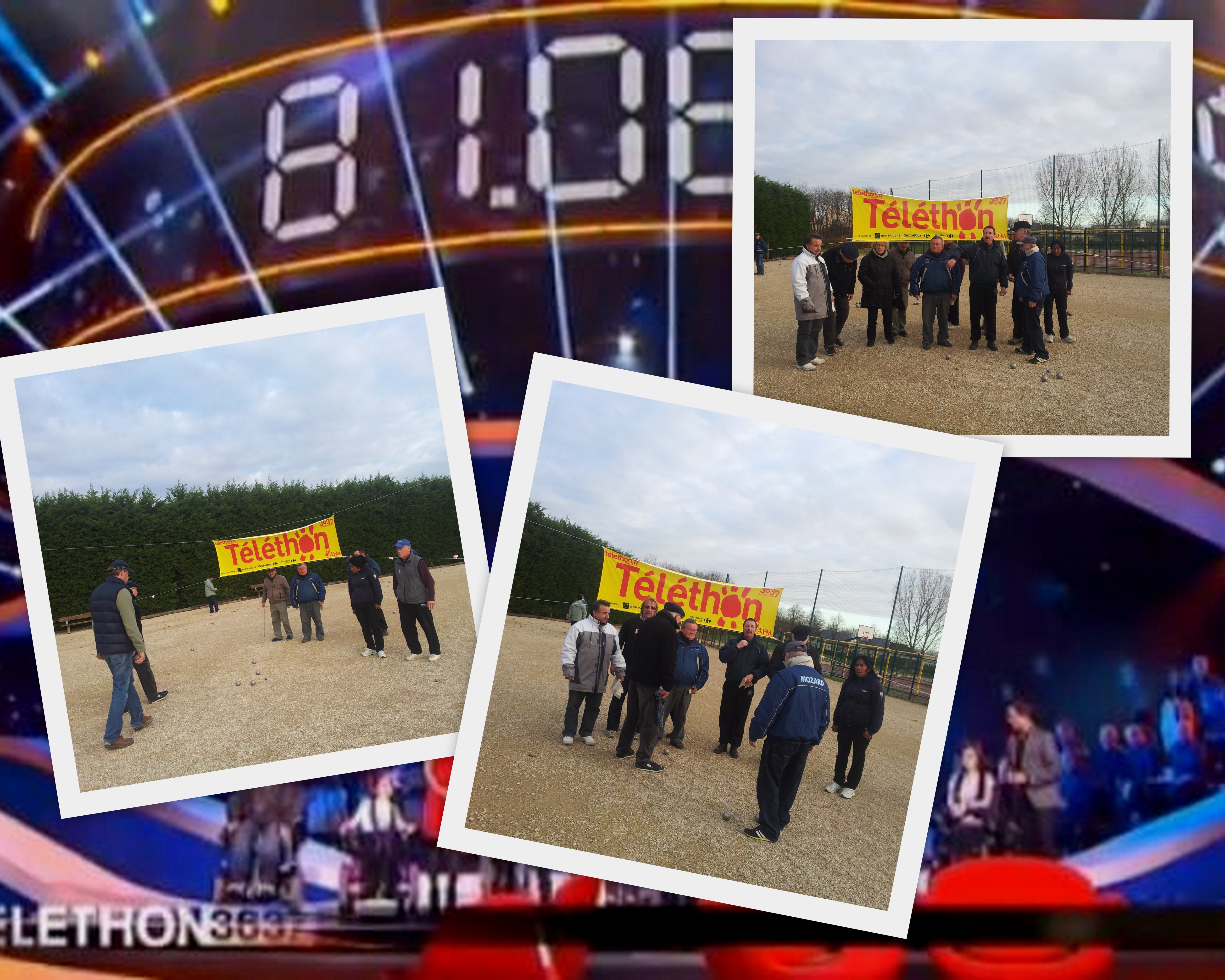 TELETHON 2013 TELETHON 2013