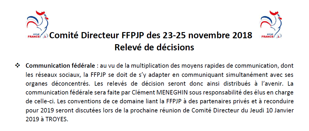 Releve de decisions suite comité directeur novembre 2018