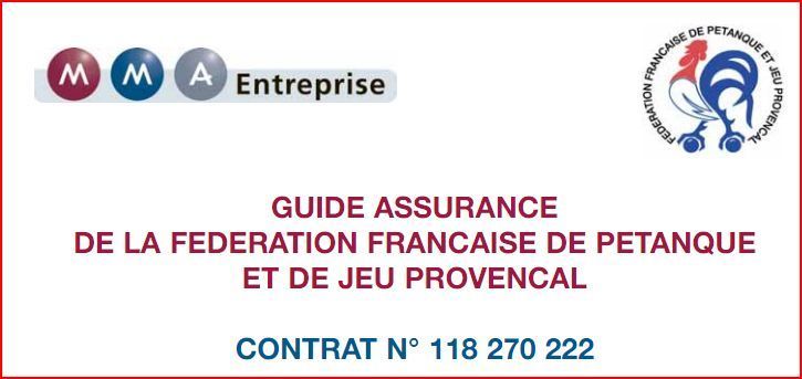 Assurance MMA année  2013