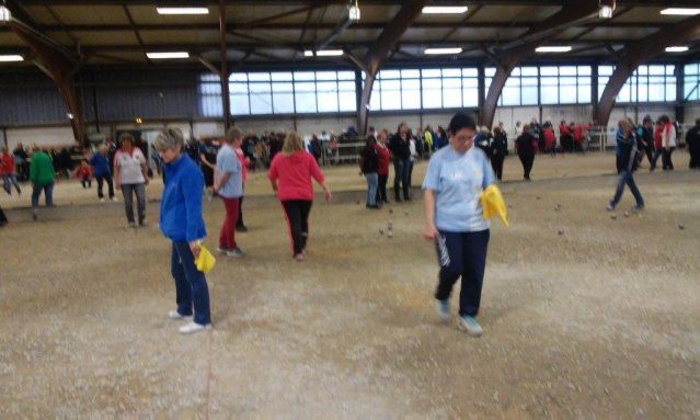 7 fevrier 2016 mini bol d'or Les brosses (4) 7 fevrier 2016 mini bol d'or Les brosses (4)