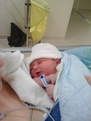 La famille s'agrandi La famille s'agrandi