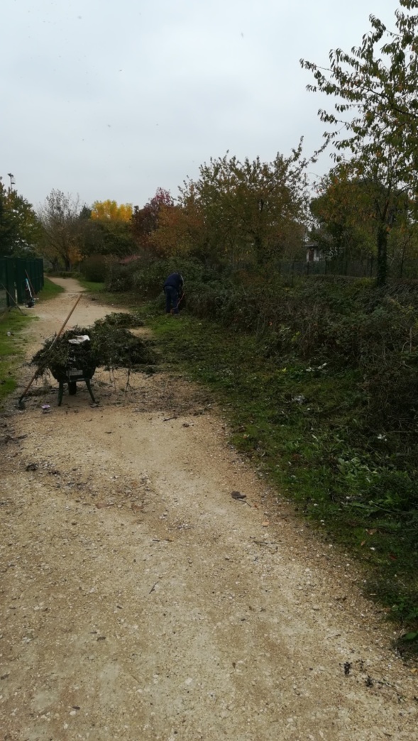 NETTOYAGE D'AUTOMNE NETTOYAGE D'AUTOMNE