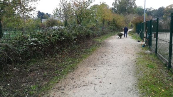 NETTOYAGE D'AUTOMNE NETTOYAGE D'AUTOMNE