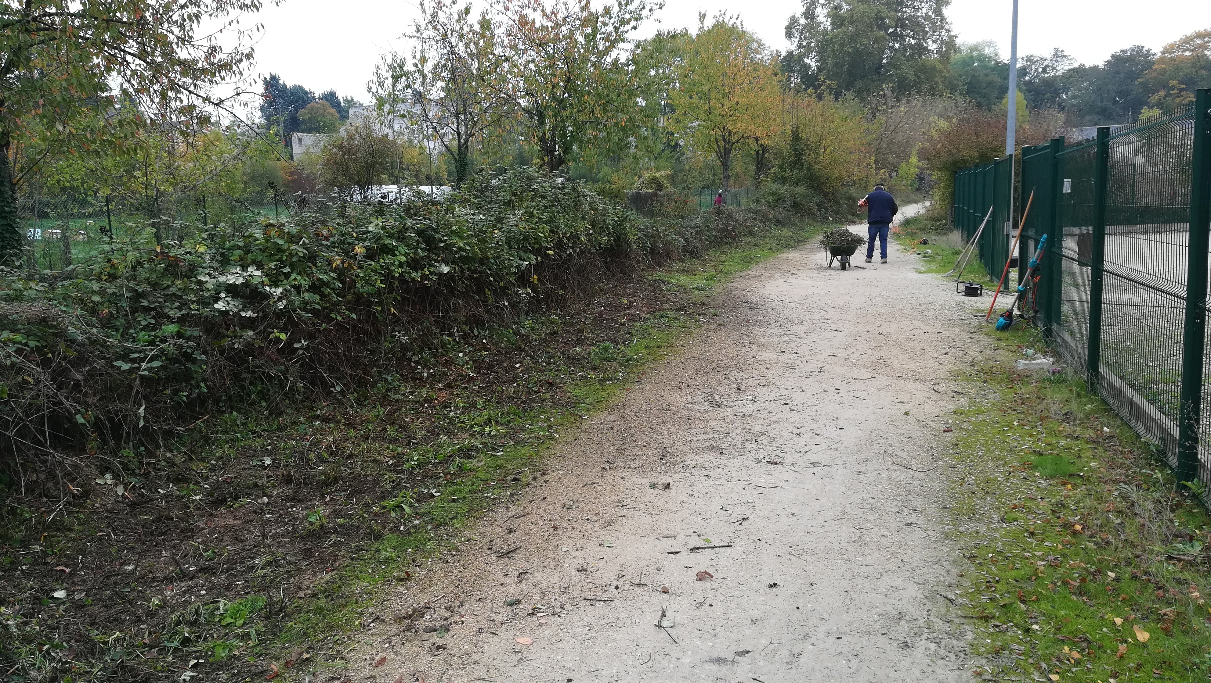 NETTOYAGE D'AUTOMNE