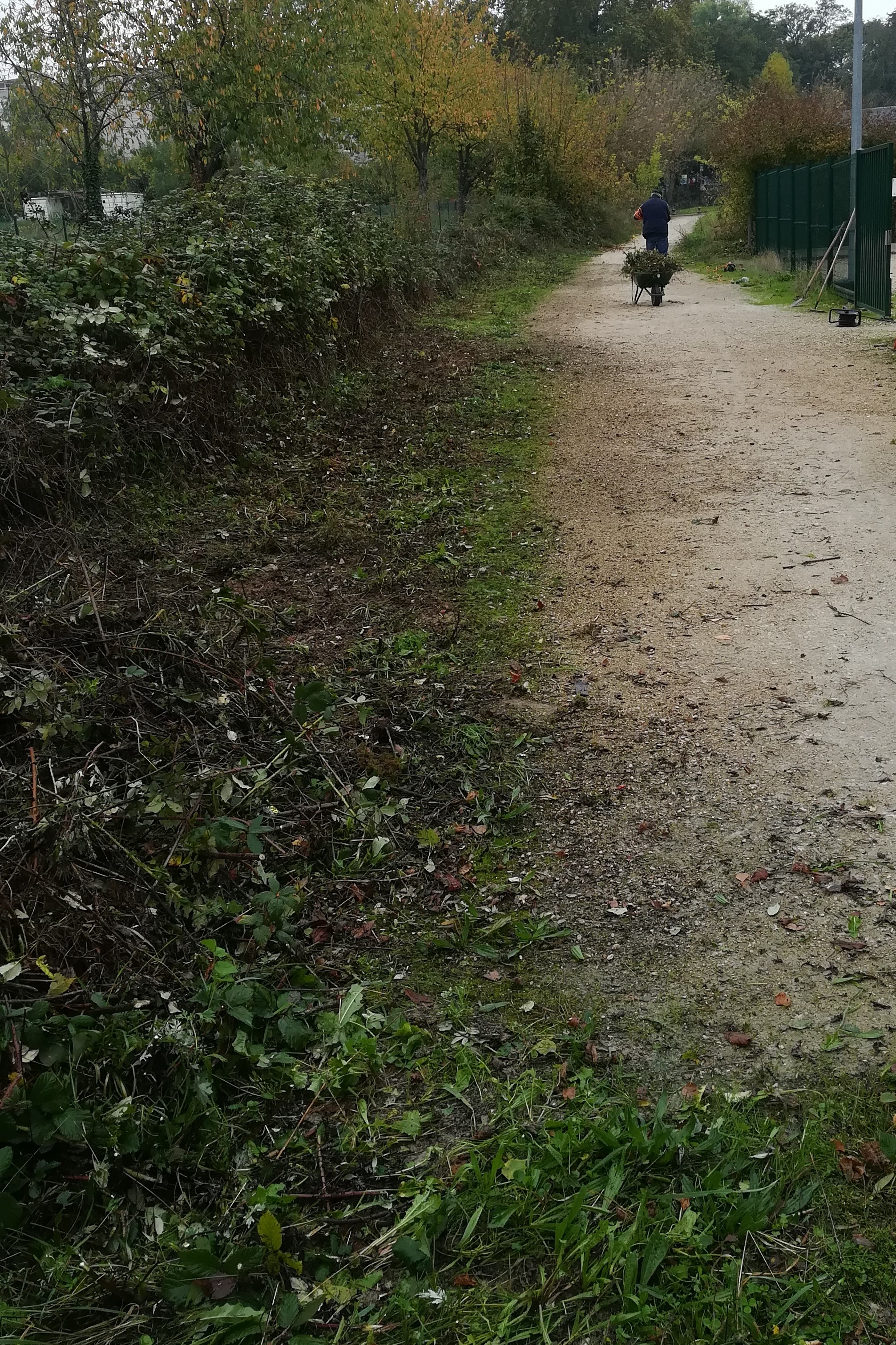 NETTOYAGE D'AUTOMNE NETTOYAGE D'AUTOMNE