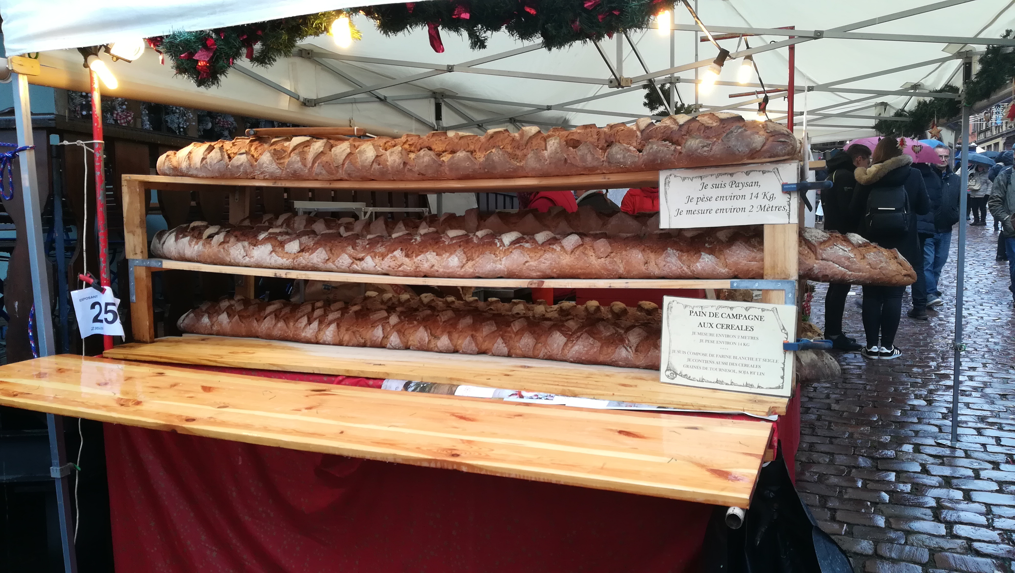 TOURNOI DU ST NICOLAS ET MARCHÉS DE NOEL EN ALSACE 7 DECEMBRE 2019