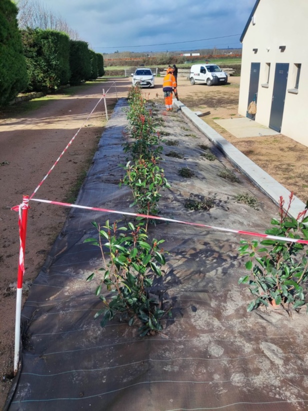 Aménagement Terrain de la Guillaumette Aménagement Terrain de la Guillaumette