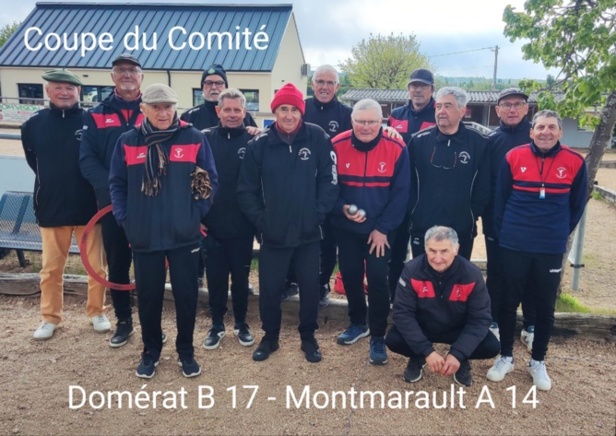 Coupe du comité