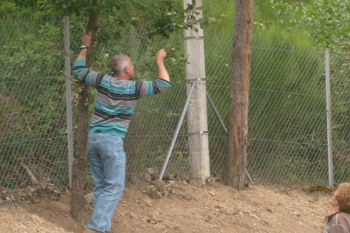 ob_2ce23f_s7300244 ob_2ce23f_s7300244