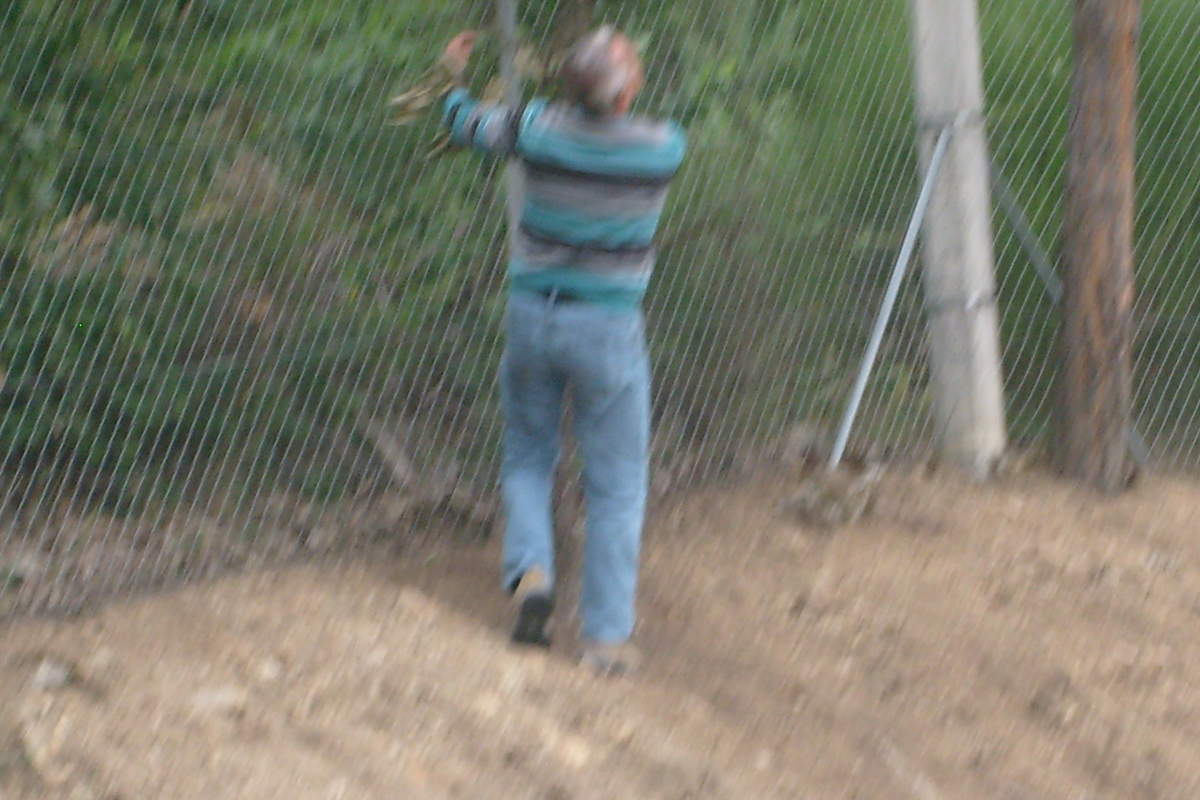 ob_690bba_s7300243 ob_690bba_s7300243