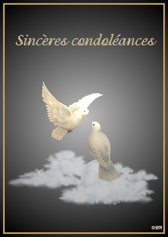 Nos sincères condoléances Nos sincères condoléances