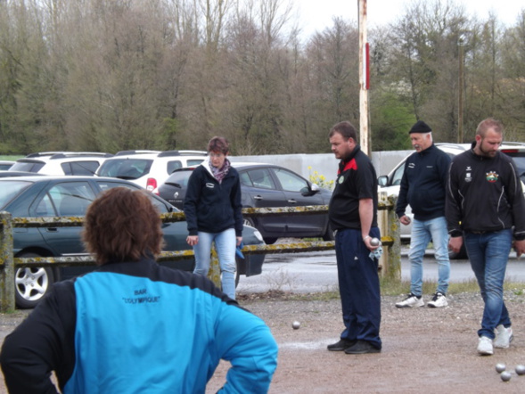 Article n°66