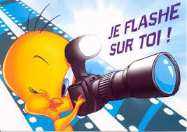 TITI POUR INFORMATION TITI POUR INFORMATION