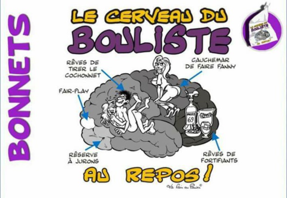 Un cerveau enfin décortiqué !!!!!! Un cerveau enfin décortiqué !!!!!!
