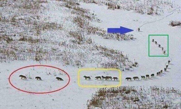 Une conclusion qui pourrait s'appliquer à la pétanque. Une conclusion qui pourrait s'appliquer à la pétanque.