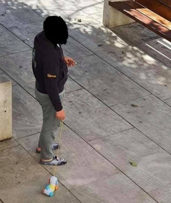 Les perles du net sur le confinement n°7 Les perles du net sur le confinement n°7