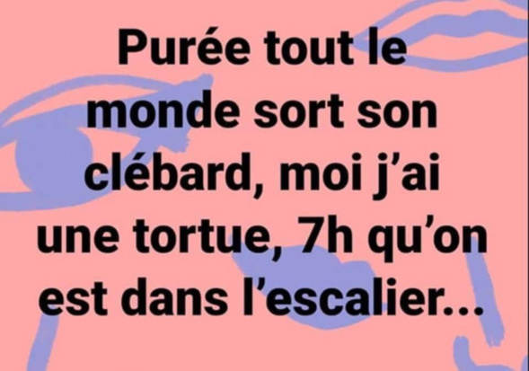 Les perles du net sur le confinement  n°11