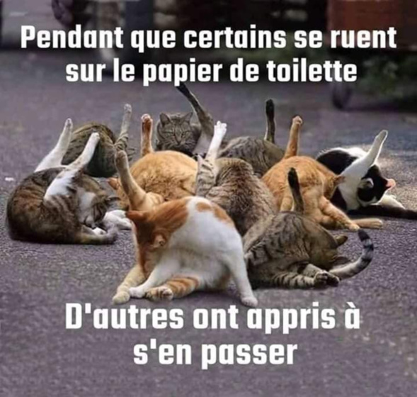 Les perles du net sur le confinement  n°14