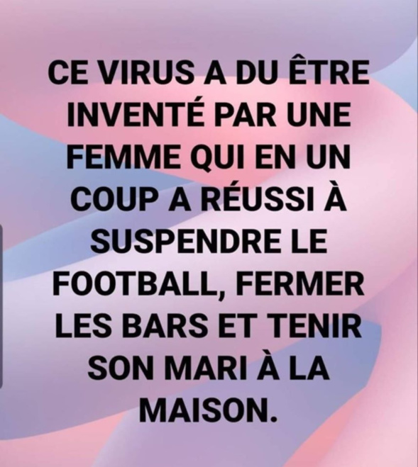 Les perles du net sur le confinement  n°16