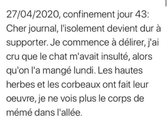 Les perles du net sur le confinement n°23 Les perles du net sur le confinement n°23