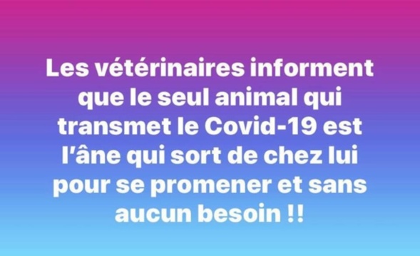 Les perles du net sur le confinement  n°34