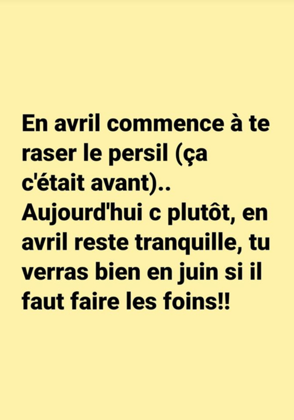Les perles du net sur le confinement n°37 Les perles du net sur le confinement n°37